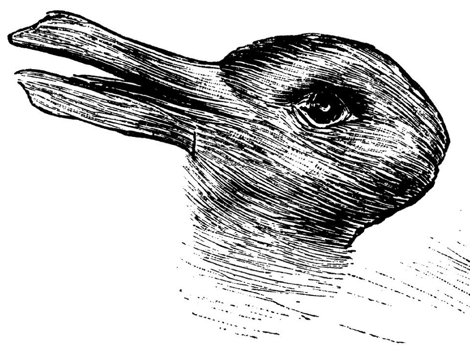 duck-rabbit-e1553964028987.jpg